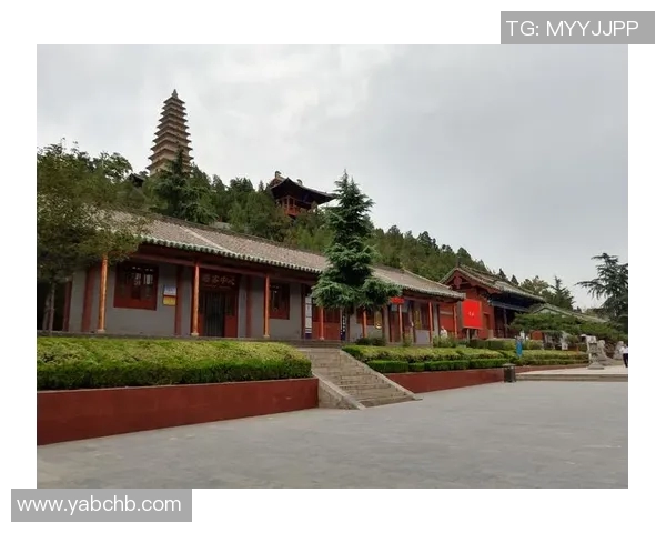 倪永康的政治生涯与影响力探讨:从官场风云到历史评价的全景分析 倪永康的政治生涯与影响力探讨:从官场风云到历史评价的全景分析