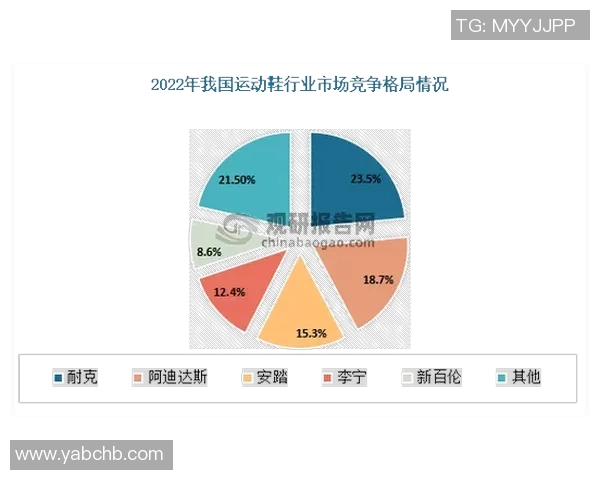 探索体育用品品牌标的设计理念与市场影响力分析